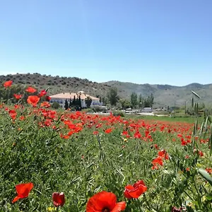 Arco Del Sol Hotel